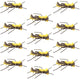 Mantis BLT Foam Body Grasshopper Fly - 1 Dozen Flies Hook Size 10