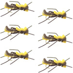Set of six Mantis BLT Foam Grasshopper dry flies in yellow, size 10, designed for trout fishing by The Fly Fishing Place.