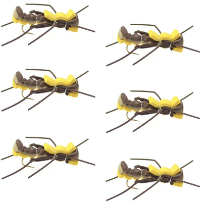 Set of six Mantis BLT Foam Grasshopper dry flies in yellow, size 10, designed for trout fishing by The Fly Fishing Place.