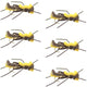 Mantis BLT Foam Body Grasshopper Fly - 6 Flies Hook Size 10