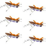 Set of six Moorish Hopper purple foam dry flies for trout fishing with size 10 hooks, designed by The Fly Fishing Place.