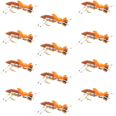 Set of 12 Moorish Hopper brown tan foam dry flies for trout fishing, size 10 hook, by The Fly Fishing Place