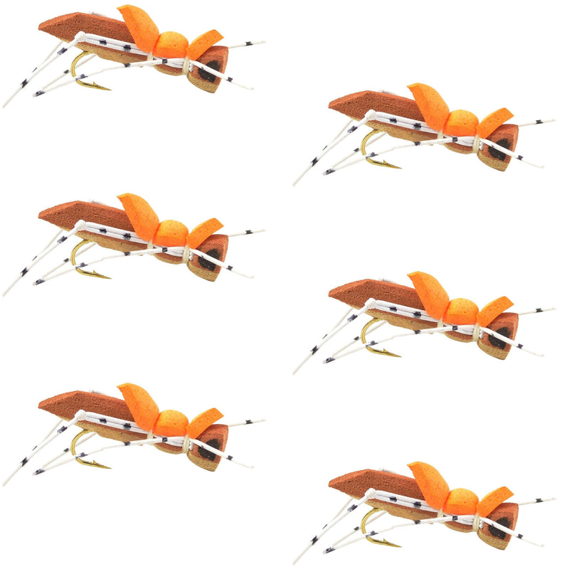 Set of six Moorish Hopper brown tan foam dry flies for trout fishing, size 10 hooks, by The Fly Fishing Place.