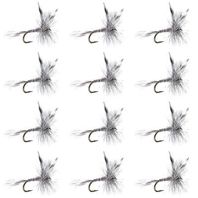 Set of 12 Mosquito Classic Trout Dry Flies for fly fishing, size 12, featuring realistic insect details from The Fly Fishing Place