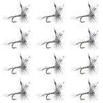 Set of 12 Mosquito Classic Trout Dry Flies for fly fishing, size 16, by The Fly Fishing Place, with detailed feather and hackle features.