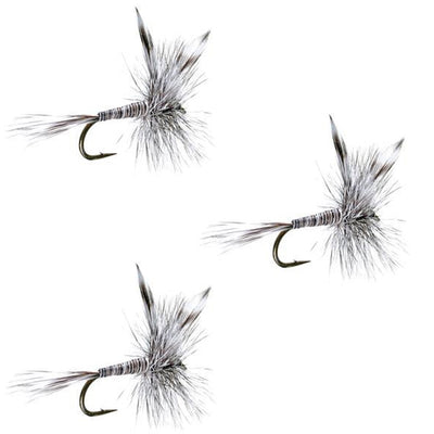 Three Mosquito Classic Trout Dry Flies by The Fly Fishing Place, size 12, with realistic feathers and hooks for trout fishing.