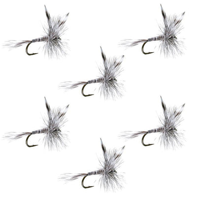 Set of 6 Mosquito Classic Trout Dry Flies in size 18, realistic imitation fishing flies for trout fishing by The Fly Fishing Place
