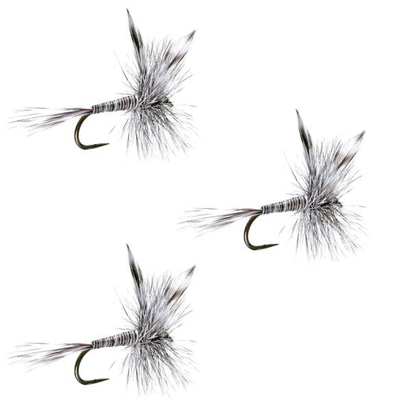 Three barbless Mosquito Dry Flies for trout fishing, hook size 12, from The Fly Fishing Place, featuring realistic dry fly designs.