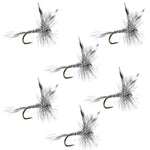 Set of six barbless Mosquito Classic Trout Dry Flies in size 16 for fly fishing, featuring realistic insect details.