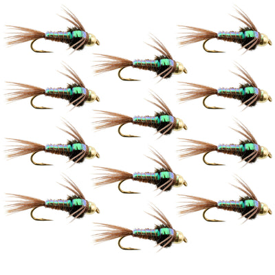 Set of 12 Bead Head Pheasant Tail Nymph trout wet flies for fly fishing, size 18, featuring natural pheasant tail and bead head details.