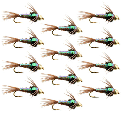 Set of 12 tungsten bead head pheasant tail nymph wet flies for trout fishing, size 10, from The Fly Fishing Place.