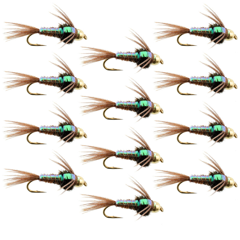 Set of 12 tungsten bead head pheasant tail nymph flies for trout fishing, size 14, with flash back, by The Fly Fishing Place.