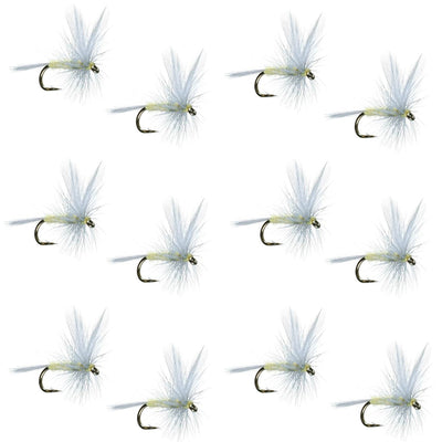 Set of 12 Pale Morning Dun PMD classic trout dry flies with size 16 hooks for fly fishing, featuring realistic insect detail.