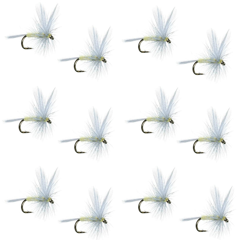 Set of 12 Pale Morning Dun PMD classic trout dry flies with size 16 hooks for fly fishing, featuring realistic insect detail.