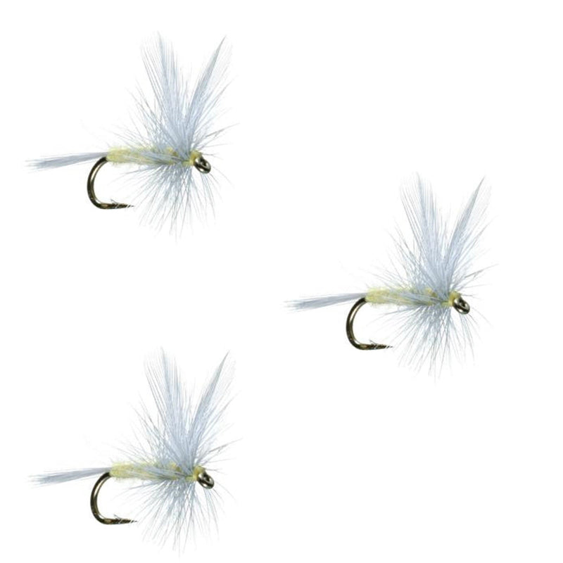 Set of three Pale Morning Dun PMD classic dry trout flies with size 14 hooks for fly fishing.