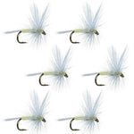 Set of six Pale Morning Dun PMD classic dry flies for trout fishing, size 14, from The Fly Fishing Place.