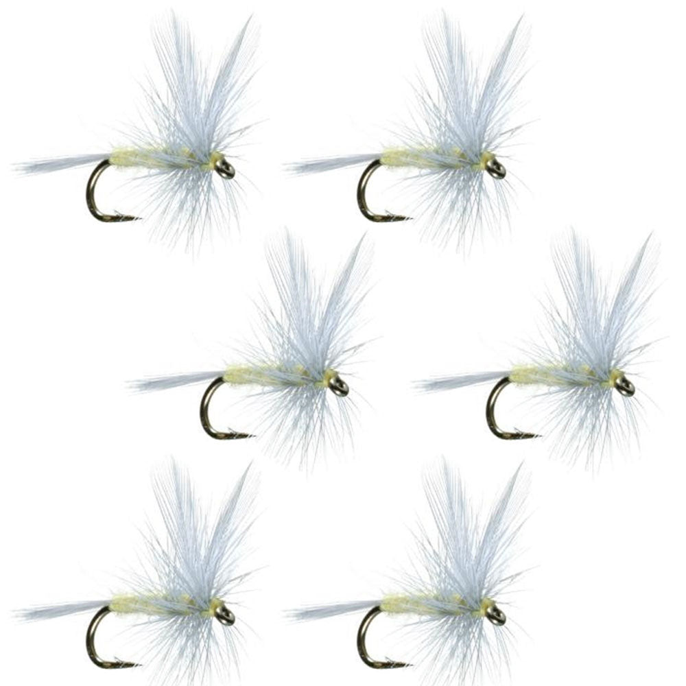 Set of six Pale Morning Dun PMD classic dry flies for trout fishing, size 14, from The Fly Fishing Place.