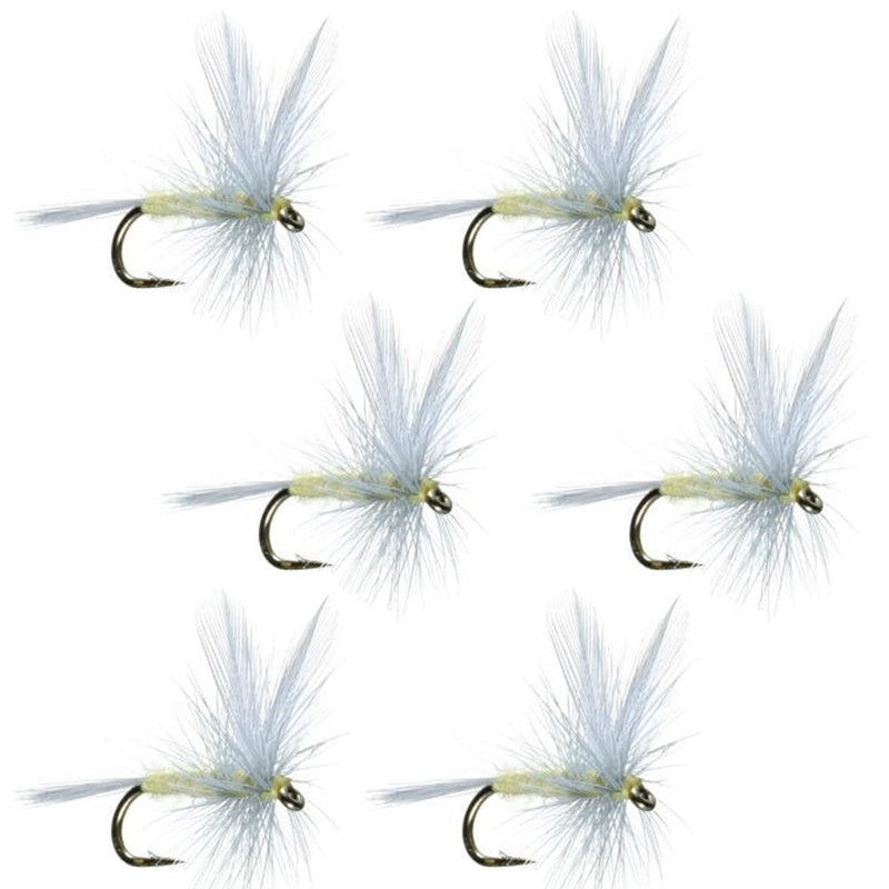 Set of six Pale Morning Dun PMD classic dry flies for trout fishing, size 14, from The Fly Fishing Place.