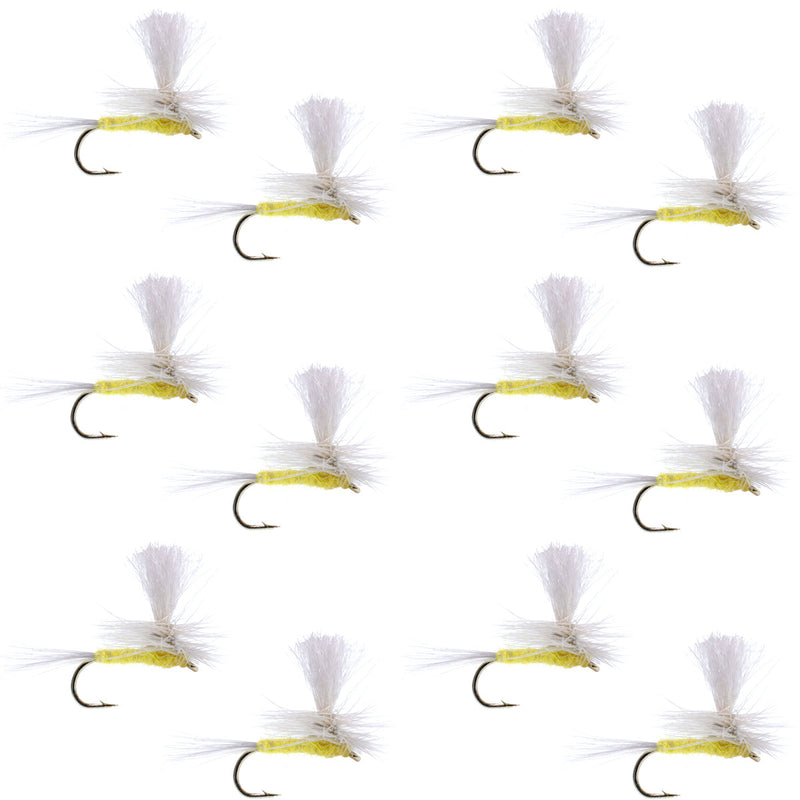 Set of 12 Pale Morning Dun Parachute PMD Classic Dry Flies for trout fishing, size 16, from The Fly Fishing Place.