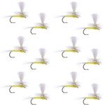 Set of 12 Pale Morning Dun PMD Classic Dry Flies for trout fishing, size 18, by The Fly Fishing Place.