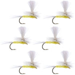 Six Pale Morning Dun PMD classic dry fly fishing flies with size 14 hooks, designed for trout fishing.