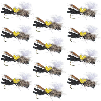 Set of 12 black and yellow Chernobyl Ant foam dry trout flies with size 10 hooks for fly fishing.