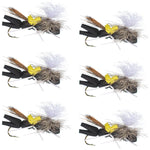 Set of six black and yellow Chernobyl Ant foam dry flies for trout fishing, featuring grasshopper design with size 10 hooks.