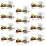 Set of 12 black and orange foam Cheryobyl Ant trout dry flies with hooks, size 10, for fly fishing by The Fly Fishing Place.
