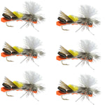 Set of six black and orange foam Cherynobyl Ant dry flies for trout fishing, size 10, from The Fly Fishing Place.