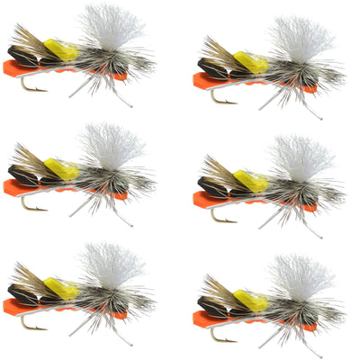 Set of six black and orange foam Cherynobyl Ant dry flies for trout fishing, size 10, from The Fly Fishing Place.