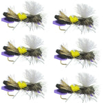 Set of six purple foam Chernobyl Ant dry flies for trout fishing, featuring parachute style hooks and size 10 hooks.