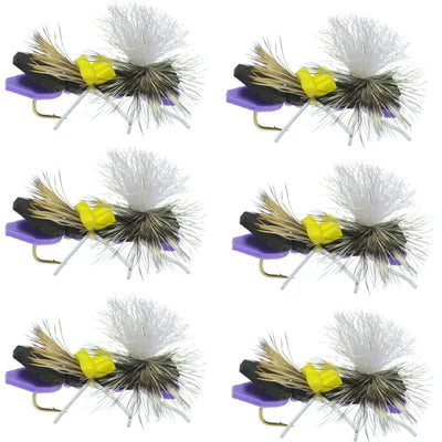 Set of six purple foam Chernobyl Ant dry flies for trout fishing, featuring parachute style hooks and size 10 hooks.