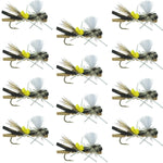 Set of 12 black tan foam Chernobyl Ant dry flies for trout fishing, with size 10 hooks, by The Fly Fishing Place.