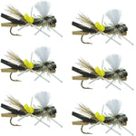 Set of six black and tan foam Chernobyl Ant dry flies for trout fishing, featuring grasshopper fly design with size 10 hooks.