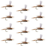 Set of 12 Hares Ear Parachute Dry Flies for trout fishing, size 18, by The Fly Fishing Place, featuring realistic dry fly hooks.