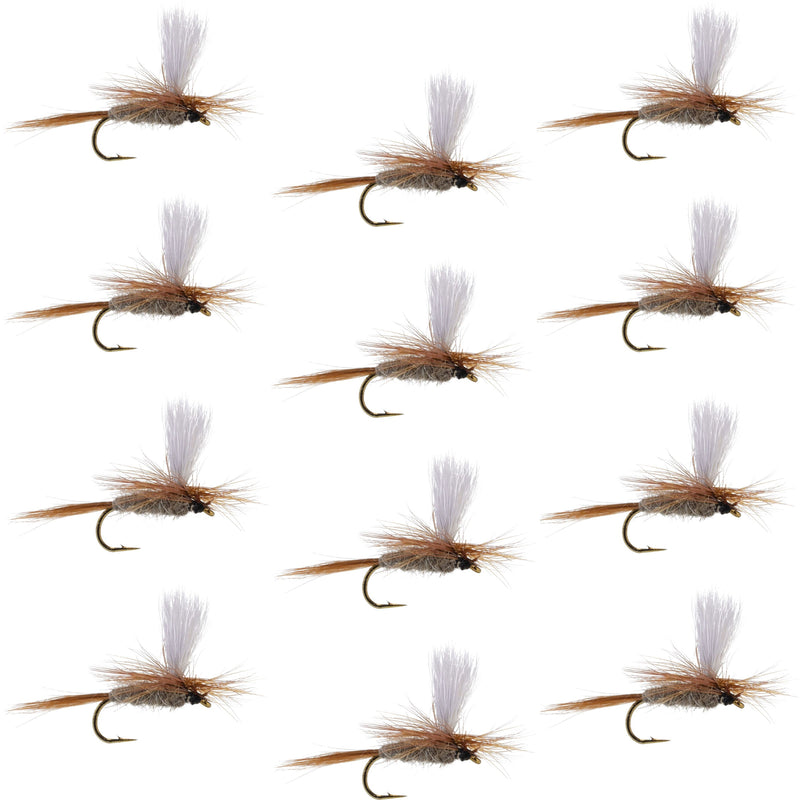 Set of 12 Hares Ear Parachute Dry Flies for trout fishing, size 12, with realistic fly pattern and parachute hackle.