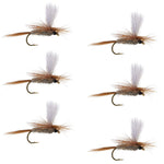 Set of six Hares Ear Parachute Dry Flies for trout fishing, size 12, from The Fly Fishing Place, ideal for freshwater fly fishing.