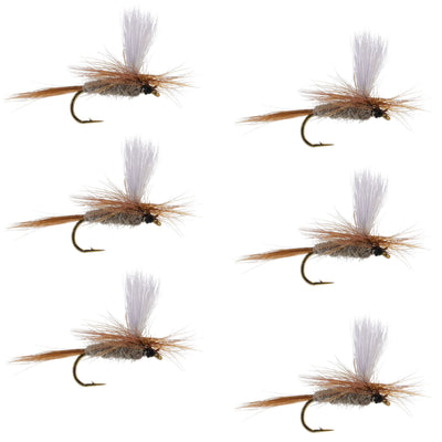 Set of six Hares Ear Parachute Dry Flies for trout fishing, size 16 hooks, classic dry fly pattern by The Fly Fishing Place.