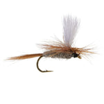 Hares Ear Parachute Dry Fly for trout fishing, size 14, with parachute hackle and fine details, by The Fly Fishing Place.