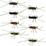 Assorted Pat's Rubber Legs Euro Nymph flies with tungsten beads, hook size 10, for trout wet fly fishing, set of 8.