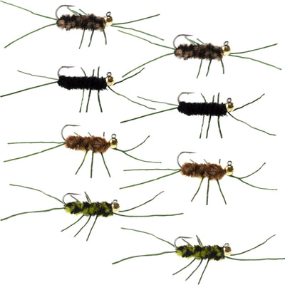 Assorted Pat's Rubber Legs Euro Nymph flies with tungsten beads, hook size 10, for trout wet fly fishing, set of 8.