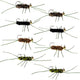 Tungsten Bead Jigged Pat's Rubber Legs Euro Nymph Assortment Fly Fishing Flies - 8 Flies Hook Size 10