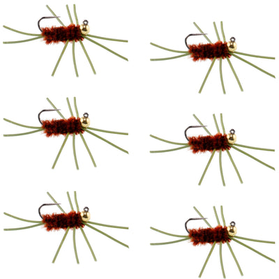 Set of 6 Pat's Rubber Legs Tungsten Bead Euro Nymph wet flies in brown, size 10, for trout fly fishing.
