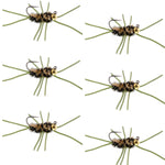 Set of 6 Pat's Rubber Legs Tungsten Bead Euro Nymph Trout Wet Flies in coffee and black, hook size 10 for fly fishing.