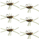 Barbless Pat's Rubber Legs Tungsten Bead Jigged  Coffee/Black Euro Nymph  - Set of 6 Flies Hook Size 10