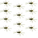 Pat's Rubber Legs Tungsten Jig Dark Olive Euro Nymph 12 Flies Size 10