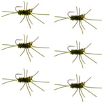 Set of 6 Barbless Pat's Rubber Legs Tungsten Bead Euro Nymph Flies in dark olive, designed for trout fishing, size 10 hooks.