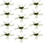 Set of 12 Pat's Rubber Legs Tungsten Nymph Flies in black and olive for trout fishing, size 10, by The Fly Fishing Place.