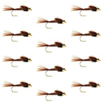 Box of 12 tungsten bead head Pheasant Tail Nymph trout wet flies in size 10 for fly fishing, featuring detailed pheasant tail wings.