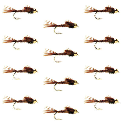 Box of 12 tungsten bead head Pheasant Tail Nymph trout wet flies in size 10 for fly fishing, featuring detailed pheasant tail wings.